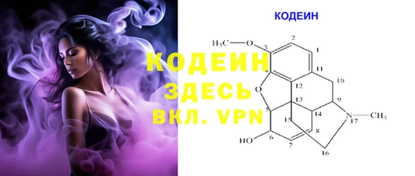 индика Володарск